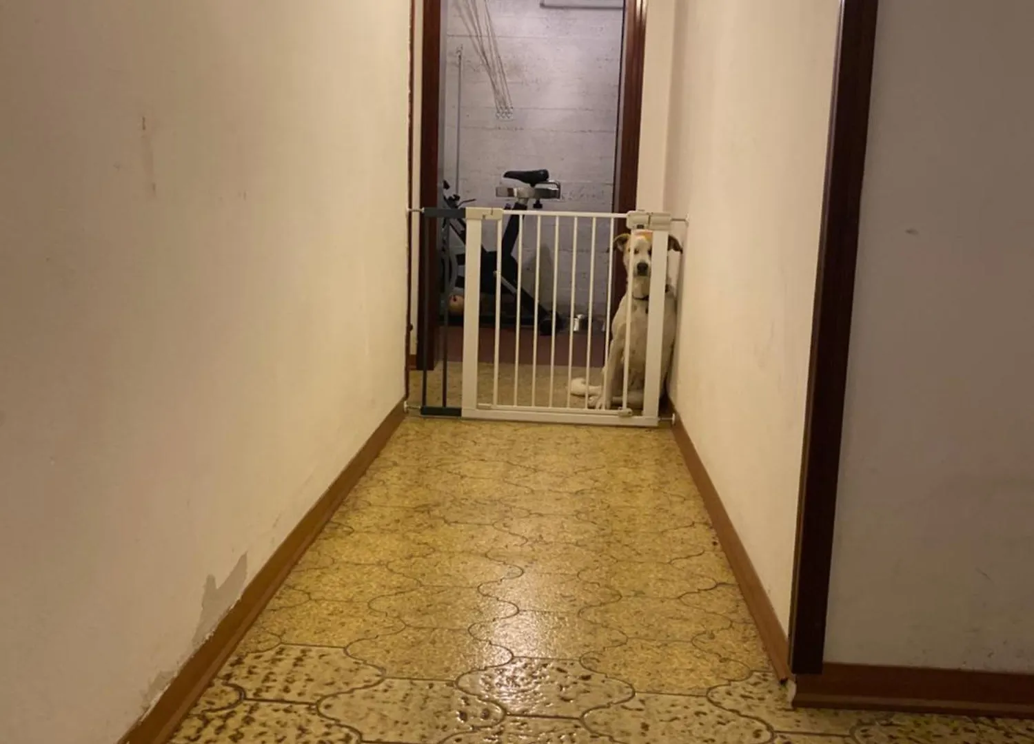 Summer'S House Castelfranco Veneto