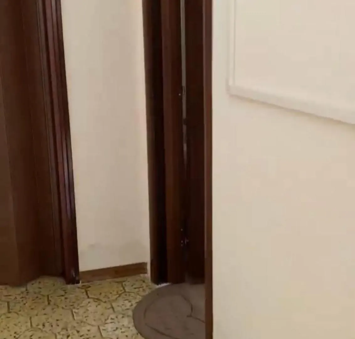 Summer'S House Guest House Castelfranco Veneto